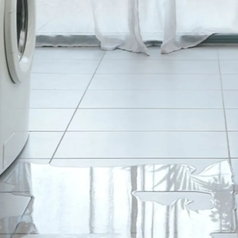 Appliance Leak Cleanup in Wilmer, TX