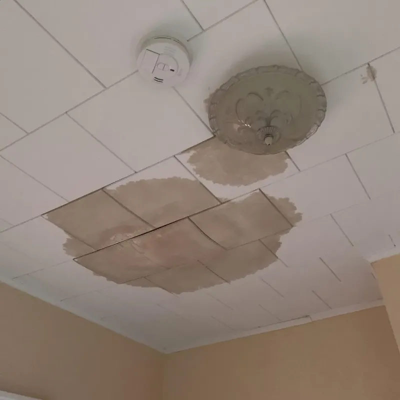 Ceiling Water Damage Repair in Wilmer, TX