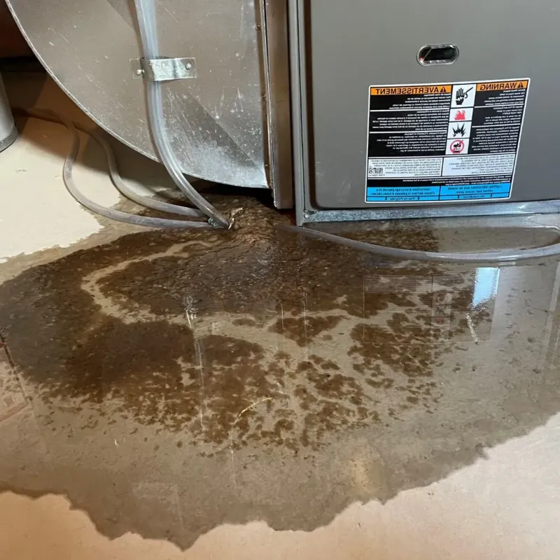 Pipe Burst and Leak Restoration in Wilmer, TX