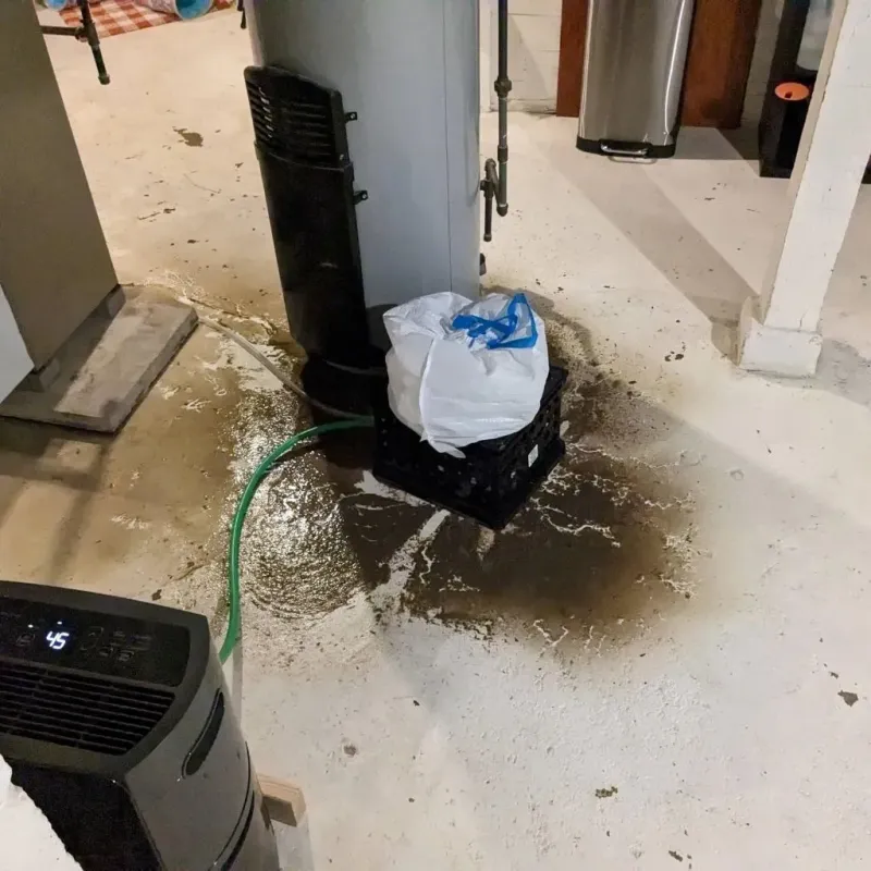 Sewage Backup Cleanup Service in Wilmer, TX